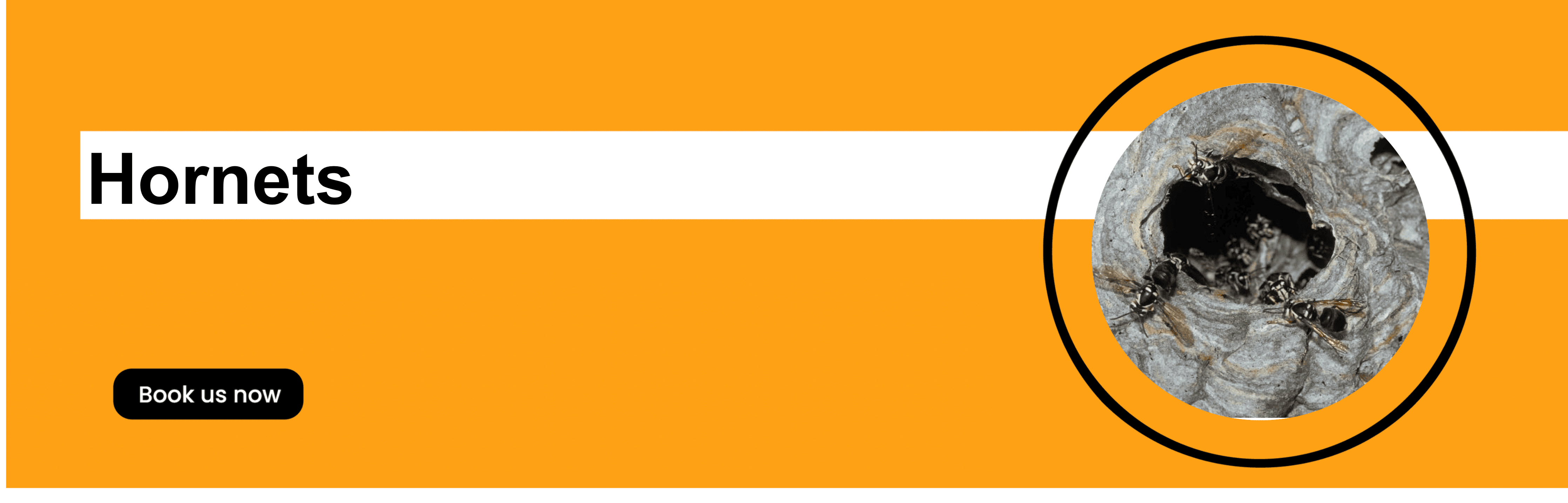 Get'm pest control Get'm pest control