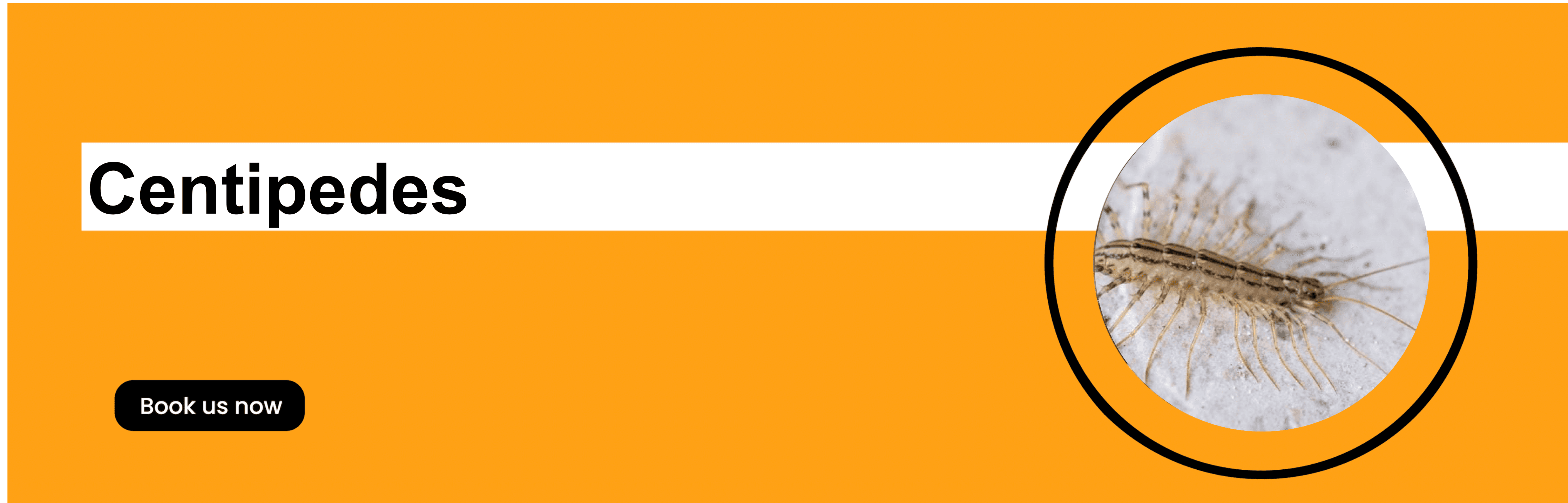 Get'm pest control Get'm pest control