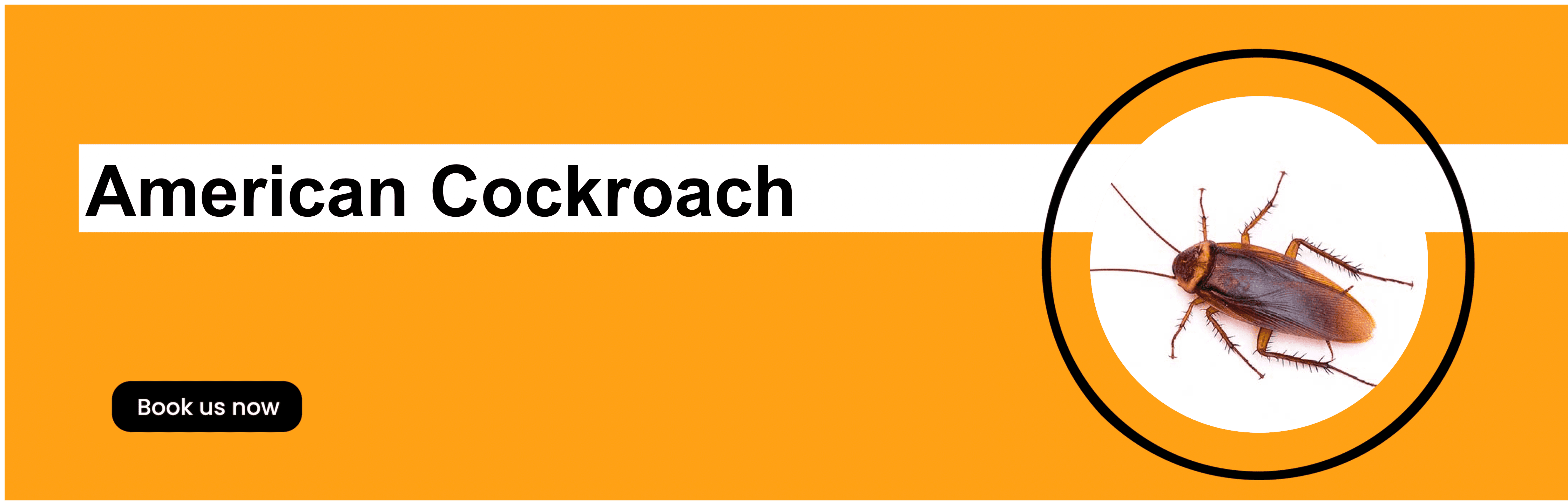 Get'm pest control Get'm pest control