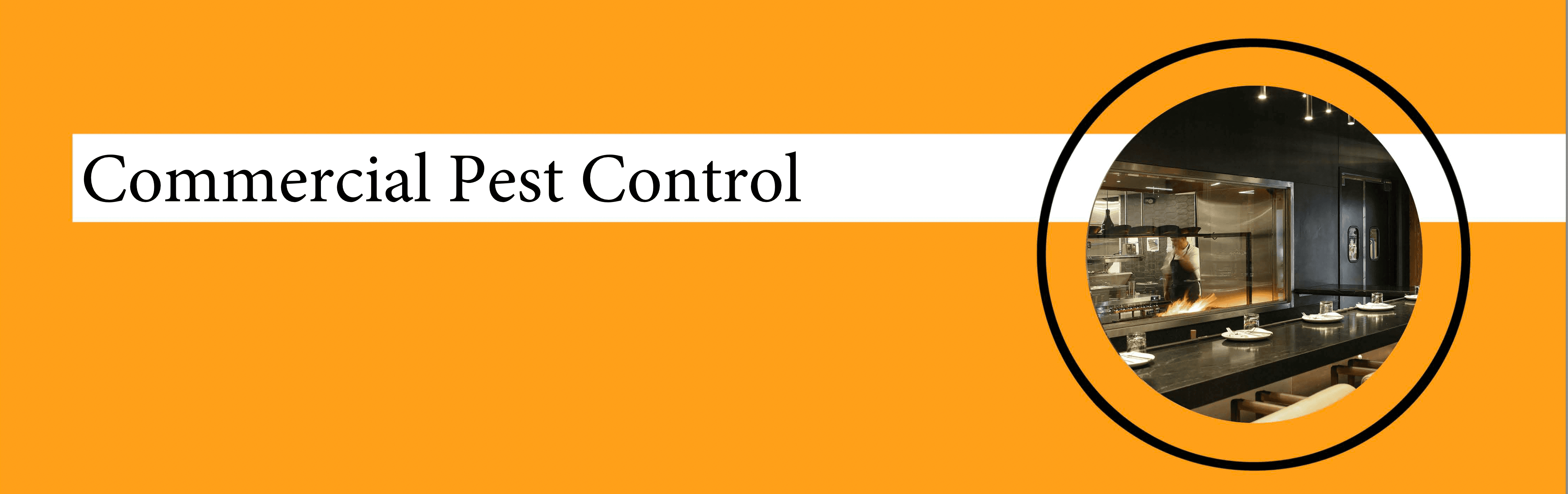 Get'm pest control Get'm pest control